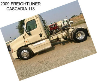 2009 FREIGHTLINER CASCADIA 113