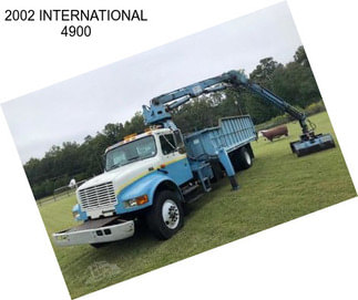 2002 INTERNATIONAL 4900