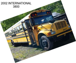 2002 INTERNATIONAL 3800