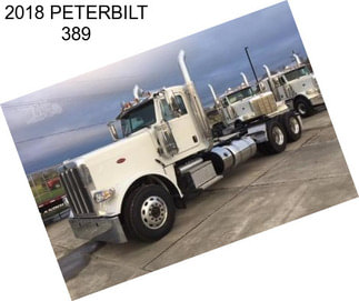 2018 PETERBILT 389