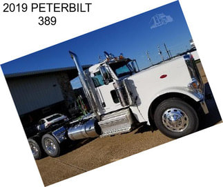 2019 PETERBILT 389