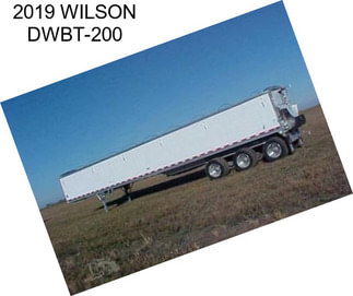 2019 WILSON DWBT-200