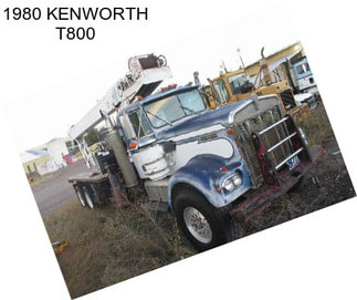 1980 KENWORTH T800
