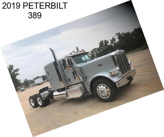 2019 PETERBILT 389