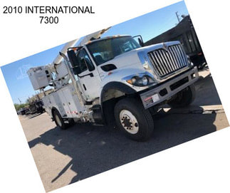 2010 INTERNATIONAL 7300