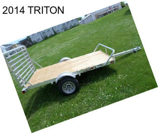 2014 TRITON