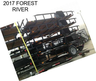 2017 FOREST RIVER