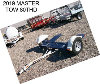 2019 MASTER TOW 80THD