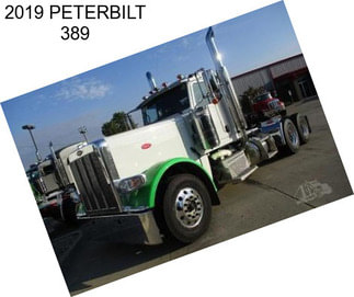 2019 PETERBILT 389