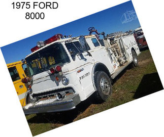 1975 FORD 8000