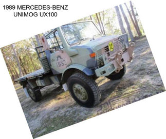 1989 MERCEDES-BENZ UNIMOG UX100