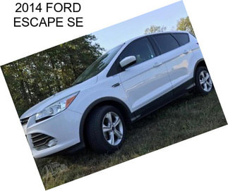 2014 FORD ESCAPE SE