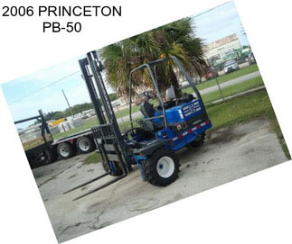 2006 PRINCETON PB-50