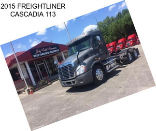 2015 FREIGHTLINER CASCADIA 113