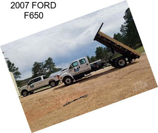 2007 FORD F650