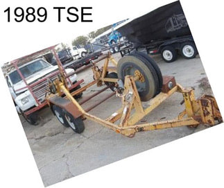 1989 TSE