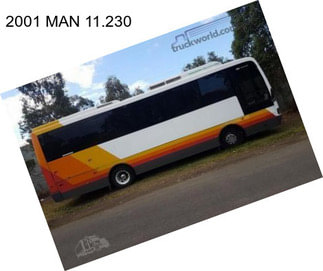 2001 MAN 11.230