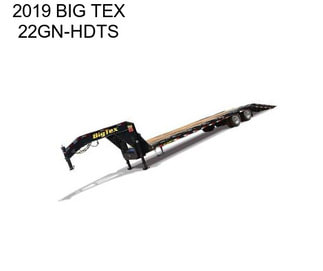 2019 BIG TEX 22GN-HDTS