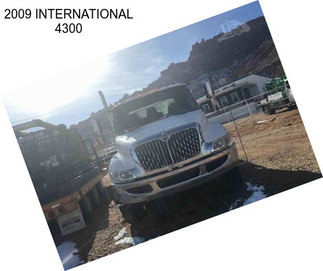 2009 INTERNATIONAL 4300