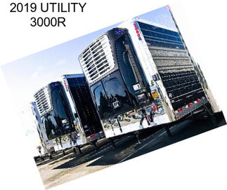 2019 UTILITY 3000R