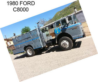 1980 FORD C8000