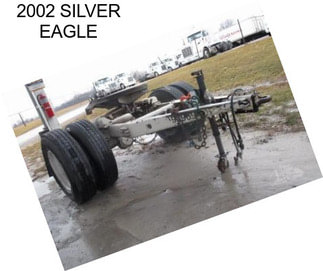 2002 SILVER EAGLE