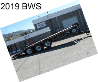 2019 BWS