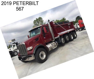 2019 PETERBILT 567