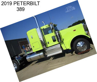 2019 PETERBILT 389