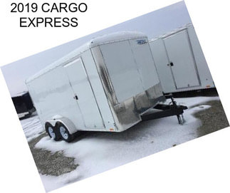 2019 CARGO EXPRESS