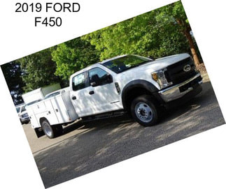 2019 FORD F450