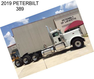 2019 PETERBILT 389