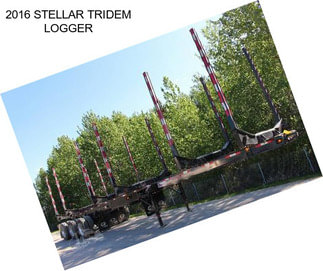 2016 STELLAR TRIDEM LOGGER