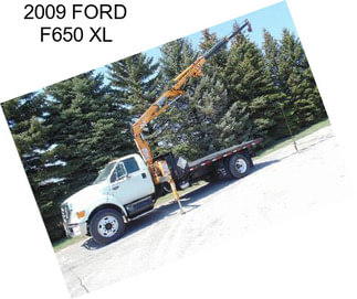 2009 FORD F650 XL