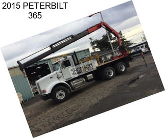 2015 PETERBILT 365