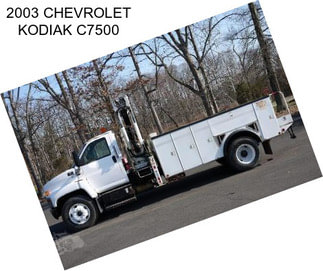 2003 CHEVROLET KODIAK C7500