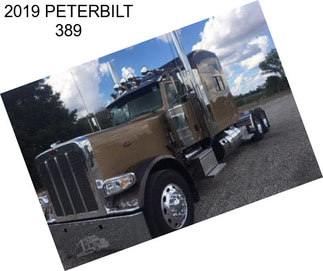 2019 PETERBILT 389