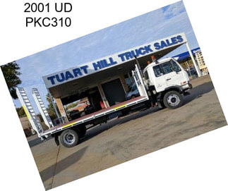 2001 UD PKC310