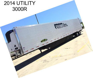 2014 UTILITY 3000R