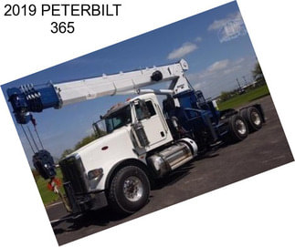 2019 PETERBILT 365