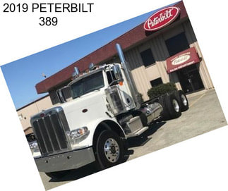 2019 PETERBILT 389