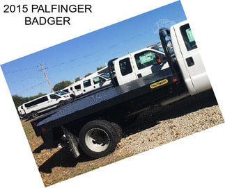 2015 PALFINGER BADGER