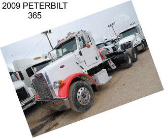 2009 PETERBILT 365