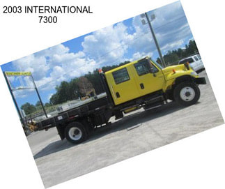 2003 INTERNATIONAL 7300