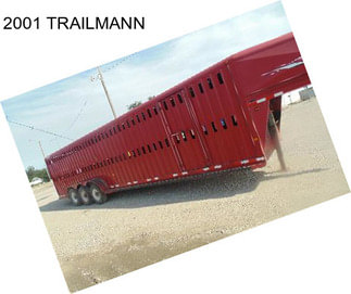 2001 TRAILMANN