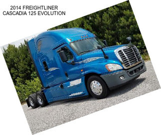 2014 FREIGHTLINER CASCADIA 125 EVOLUTION