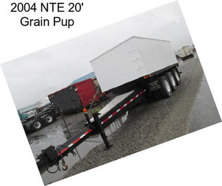 2004 NTE 20\' Grain Pup