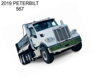 2019 PETERBILT 567