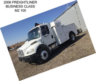 2006 FREIGHTLINER BUSINESS CLASS M2 100