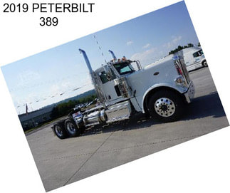 2019 PETERBILT 389